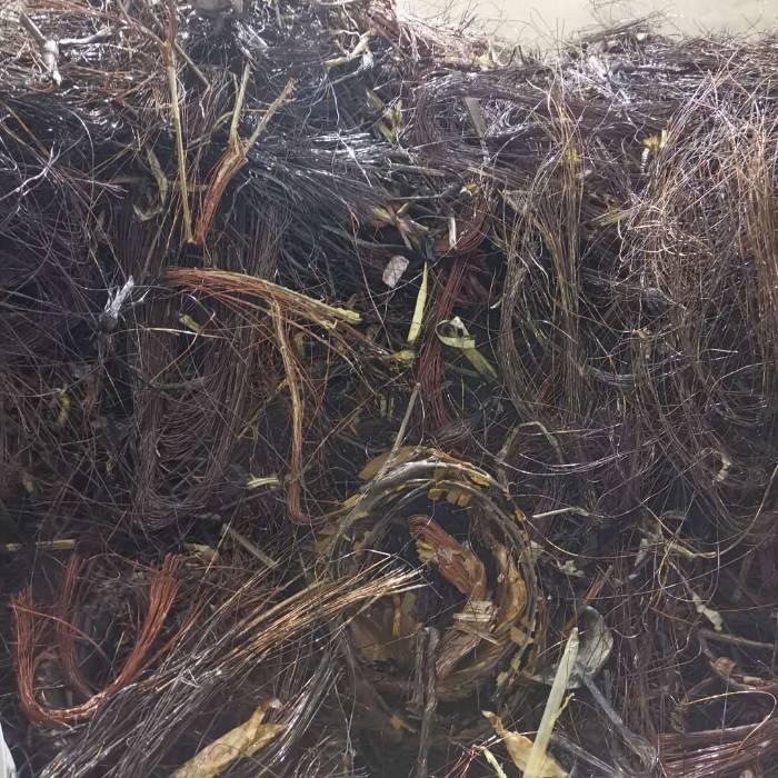 <strong>讓廢棄漆包線重煥生機——連續式脫漆技術的應用</strong>